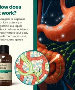 Lyyeto® Lymphatic Drainage with Liquid Herbal Extract