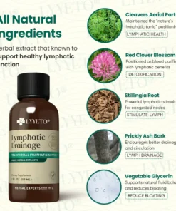Lyyeto® Lymphatic Drainage with Liquid Herbal Extract