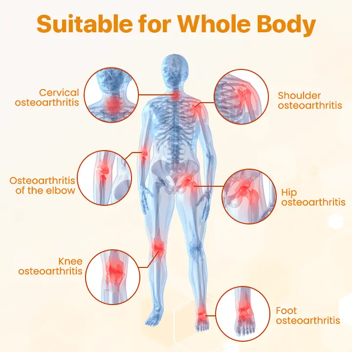 Lyyeto® BeeVenom Joint Repair Cream9