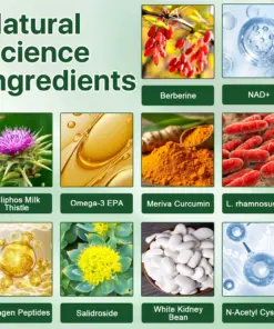 Lyyeto® Moringa Berberine NAD 10-in-1 Nano Microneedle Patch(Just once a day, visible changes in 7 days)