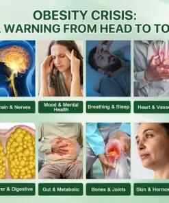 Lyyeto® Moringa Berberine NAD 10-in-1 Nano Microneedle Patch(Just once a day, visible changes in 7 days)